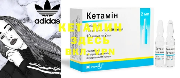 крисы Алексин