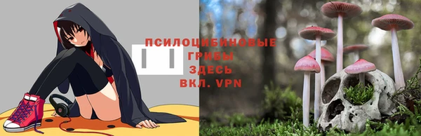 Альфа ПВП Абинск