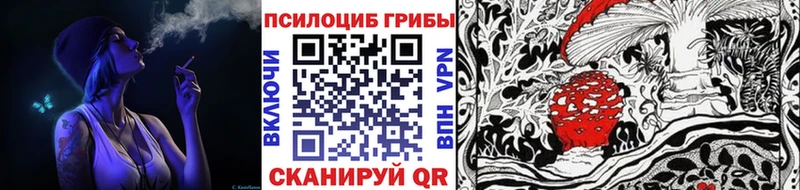 купить наркотики цена Сальск Псилоцибиновые грибы Psilocybe